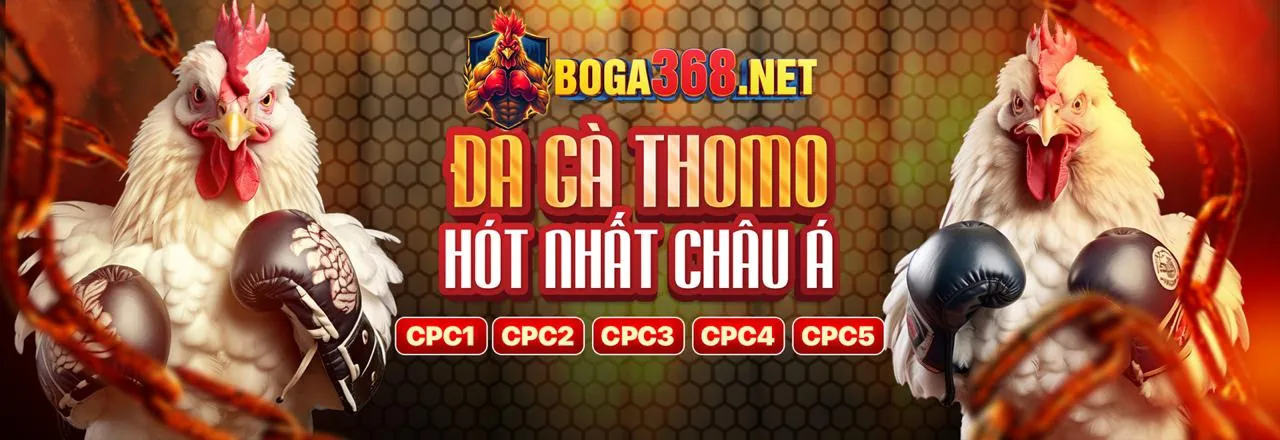 Làm thế nào để chọn trò chơi phù hợp nhất tại b52win nhà cái?